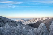 Pablo BAILLEUL - Bailleul