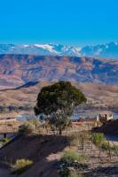 Brandon HUNT - BRANDON HUNT